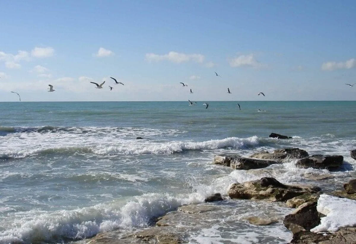 Иллюстративное фото