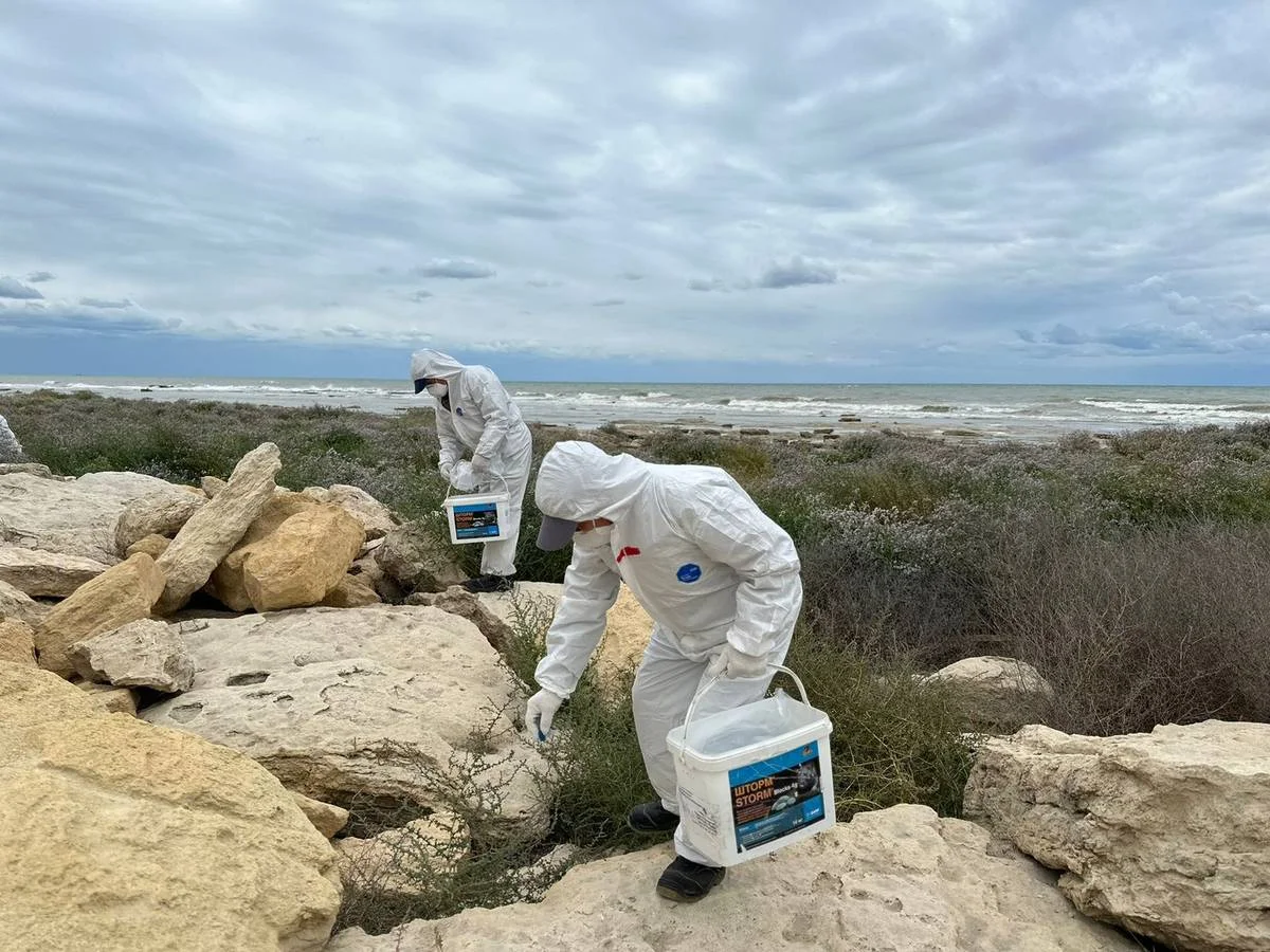 Фото предоставили в Центре общественных коммуникаций Мангистауской области