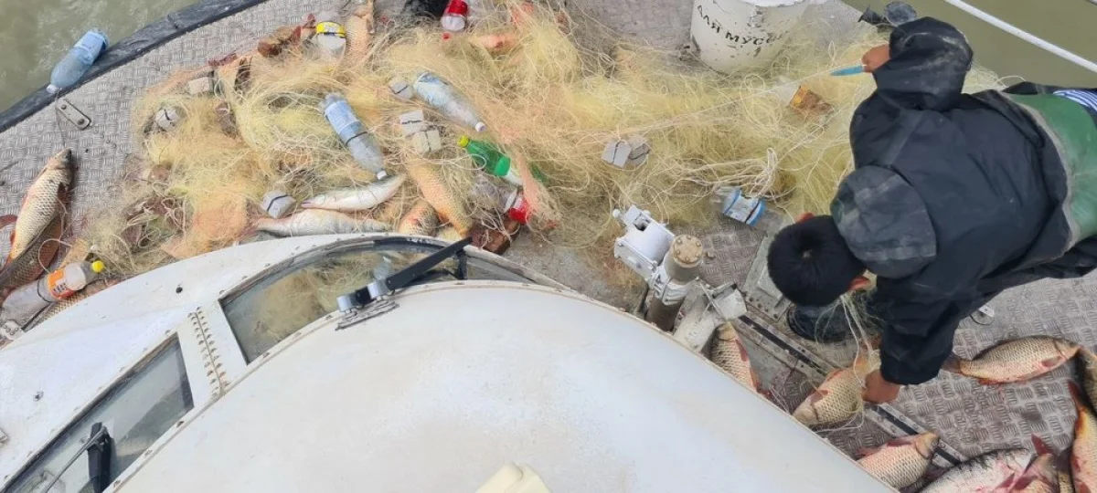 Изъятый улов браконьеров. Фото предоставлено А.Жаналиповым