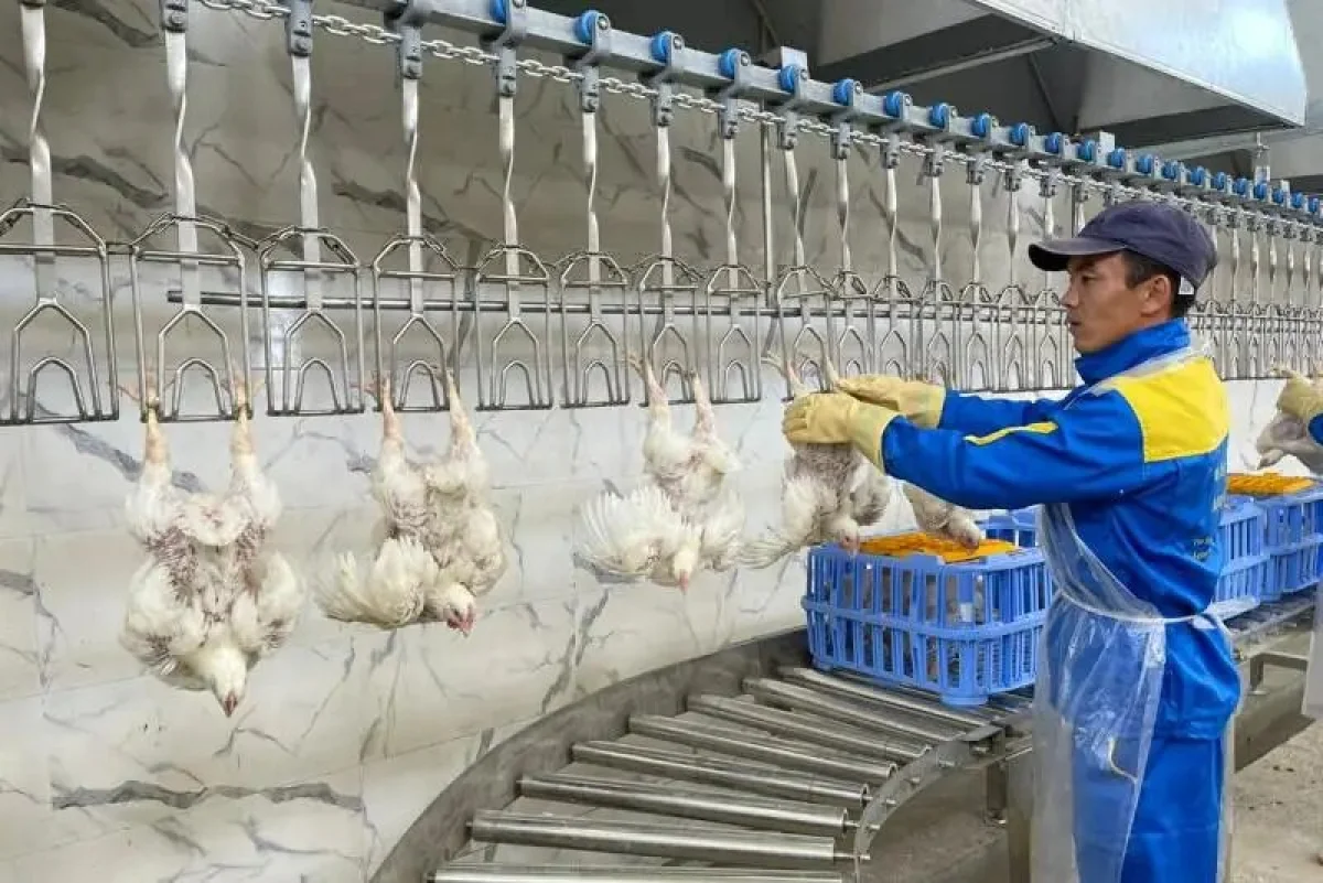 Фото из архива Lada.kz