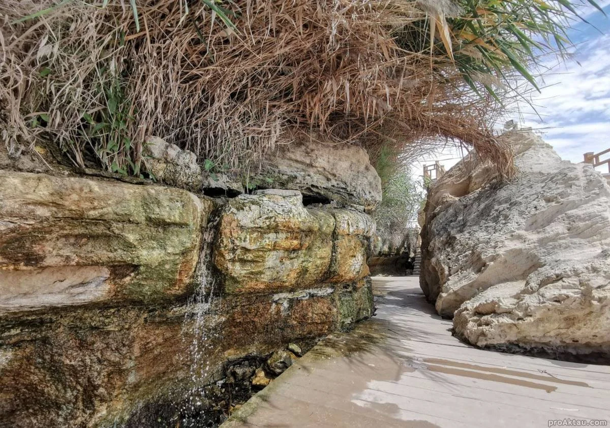 Фото из архива Lada.kz