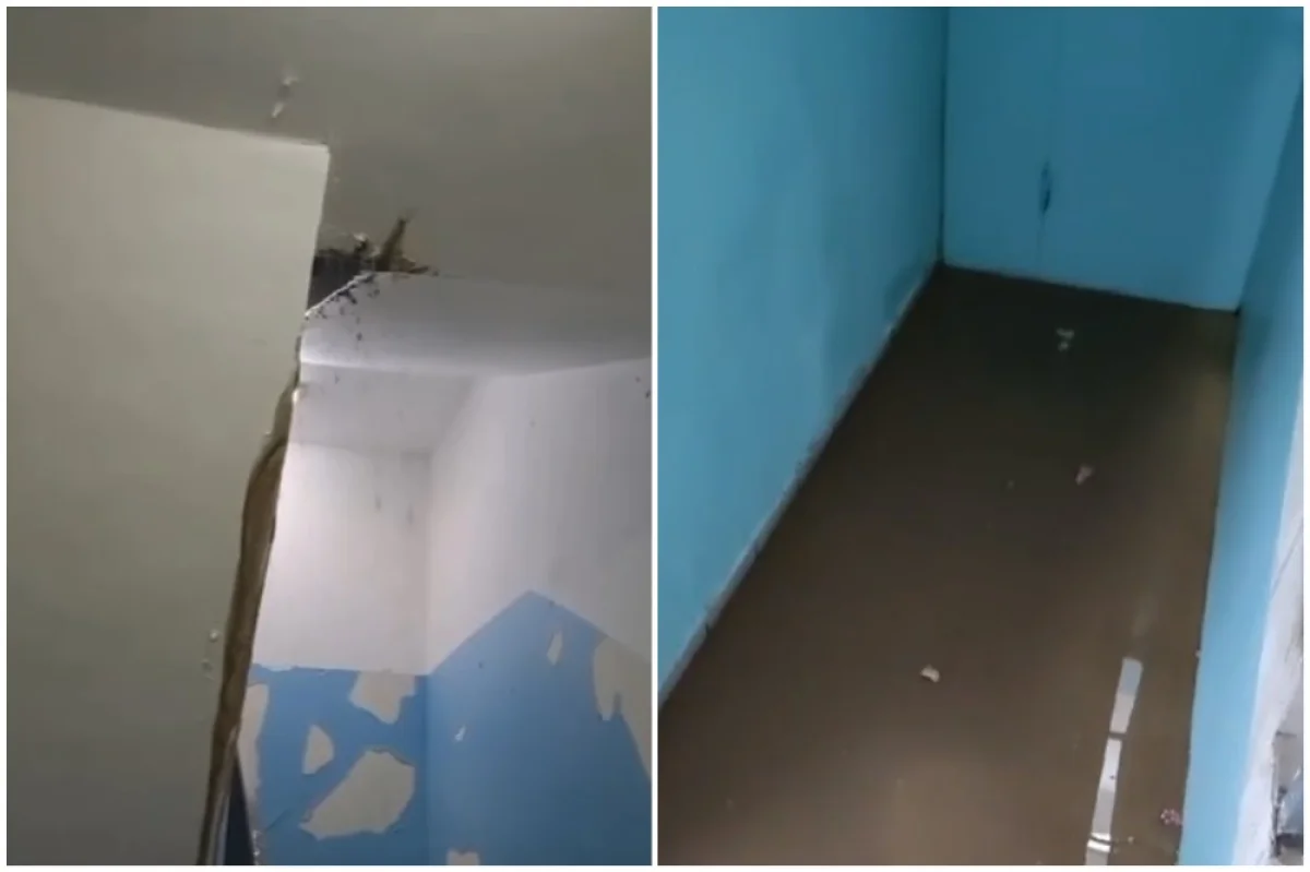 Коллаж из кадров видео