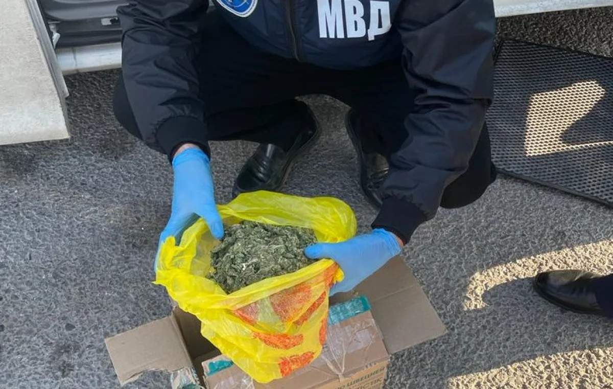 Фото пресс-службы ведомства