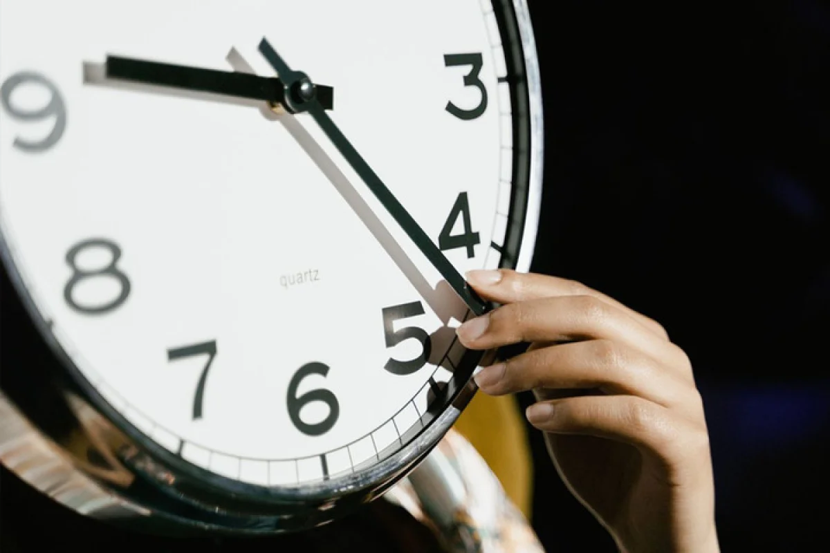 Фото с сайта nversia.ru