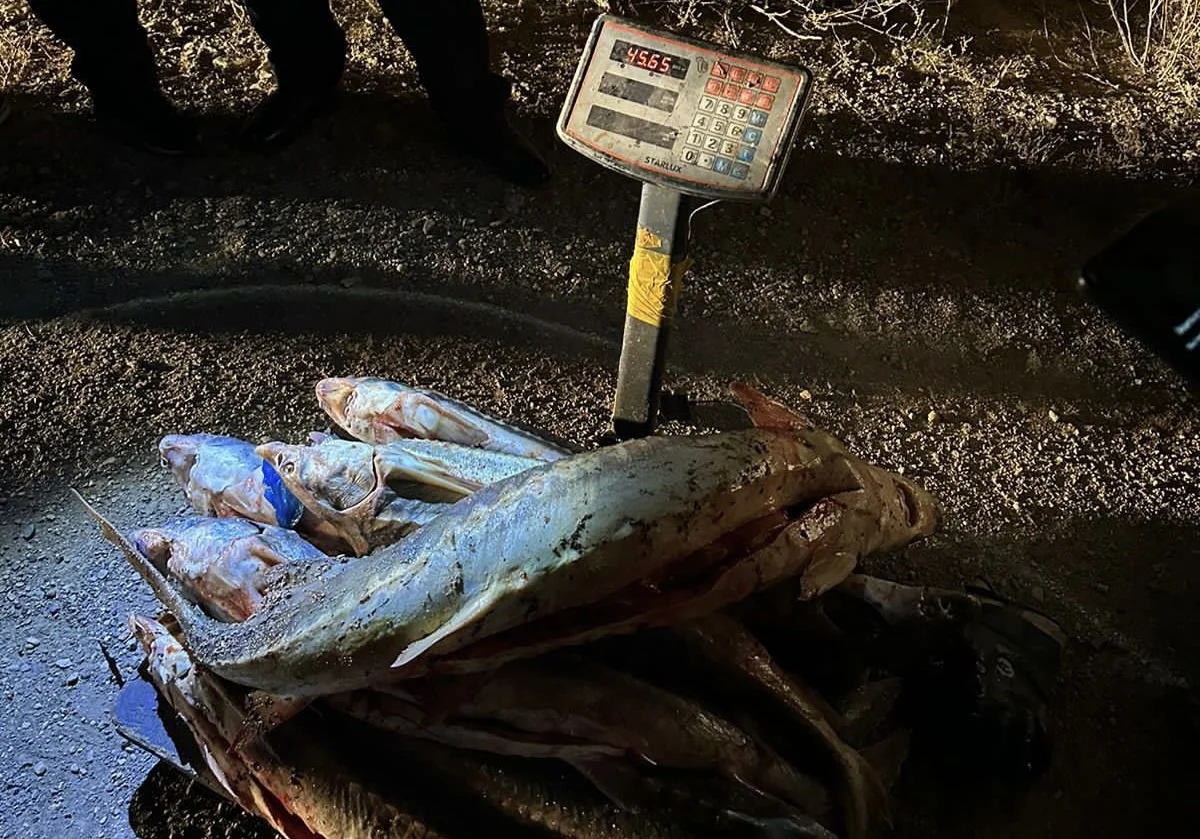 Фото пресс- службы ДП региона