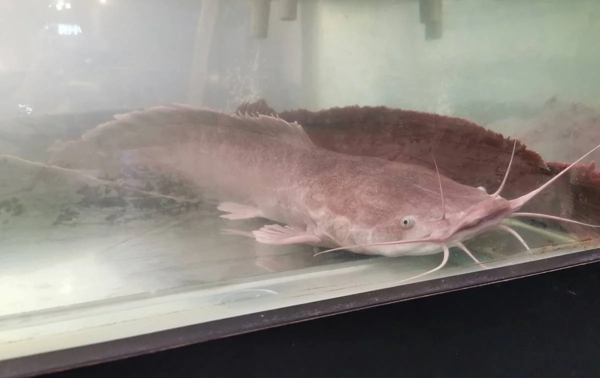 фото предоставлено  ТОО «Natali Company»