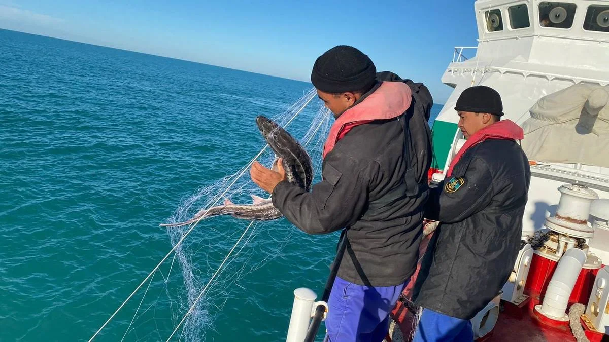 фото центра общественных коммуникаций
