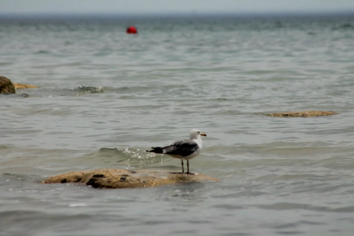 Фото автора из архива Lada.kz