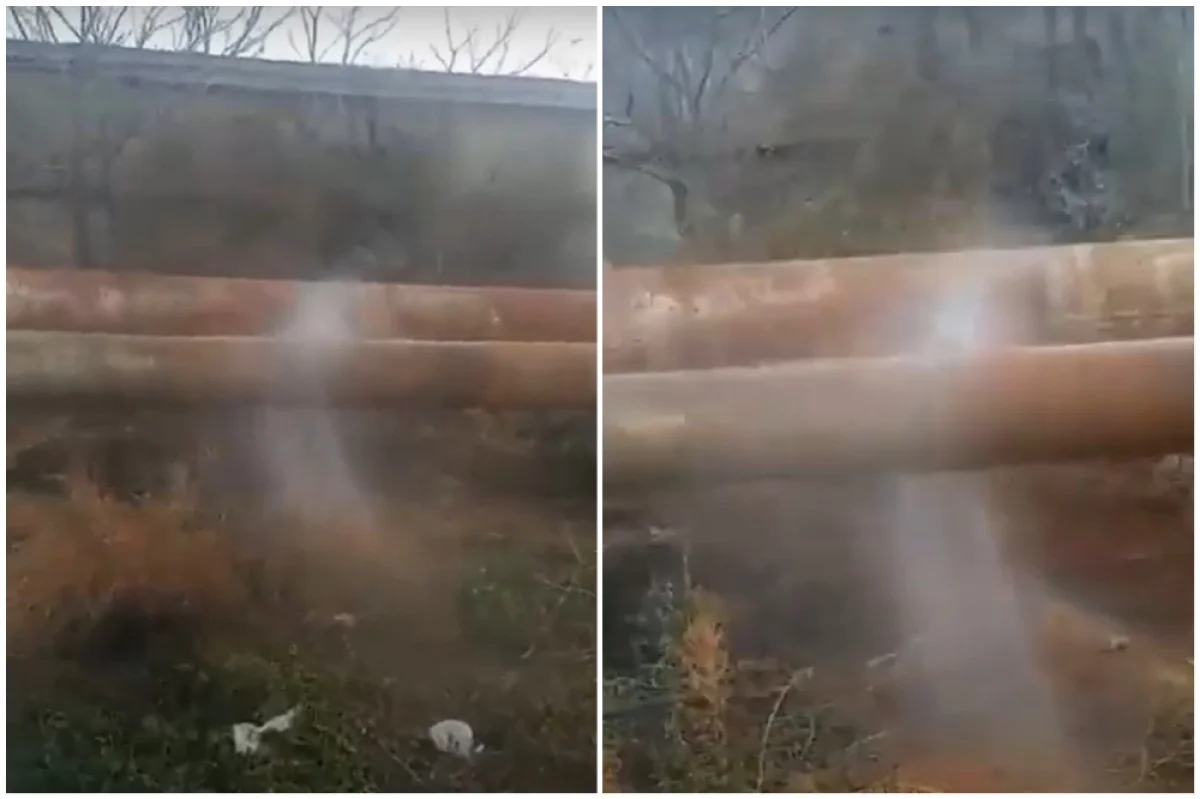 Коллаж из кадров видео