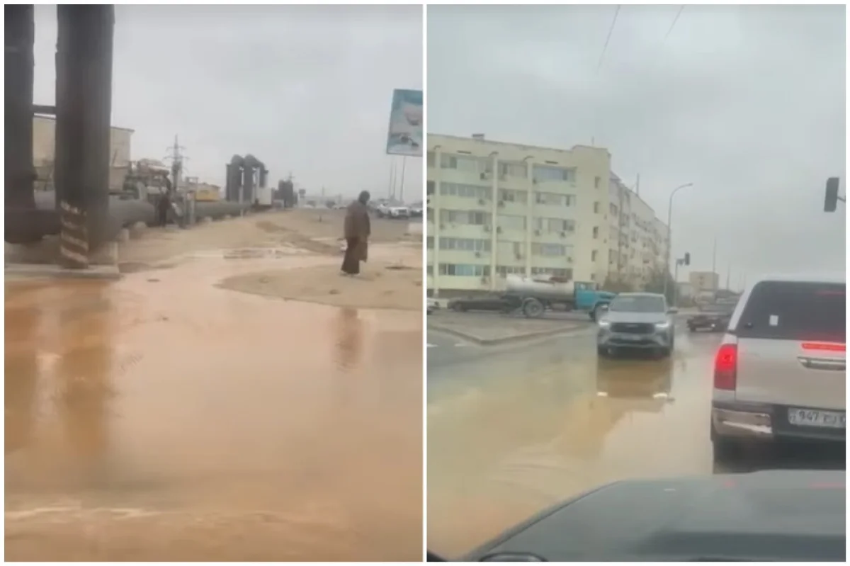 Коллаж из кадров видео