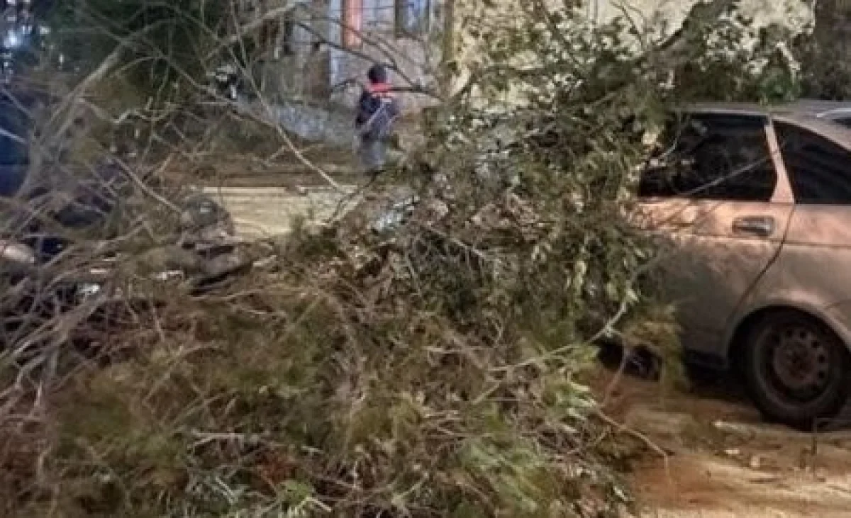 Фото очевидцев