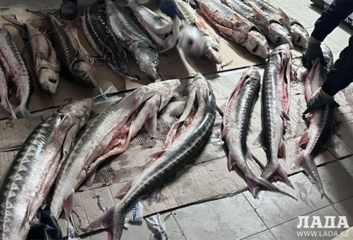 Фото из архива