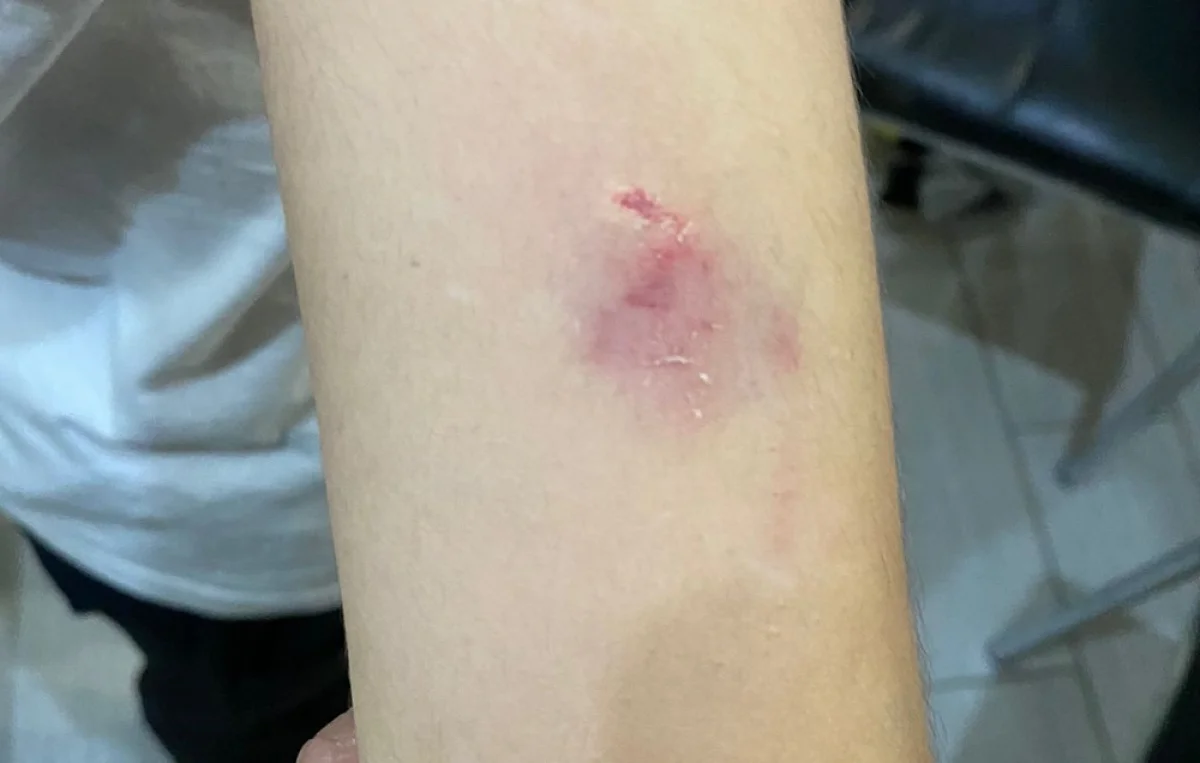 Фото предоставлено Джульеттой Джамиевой