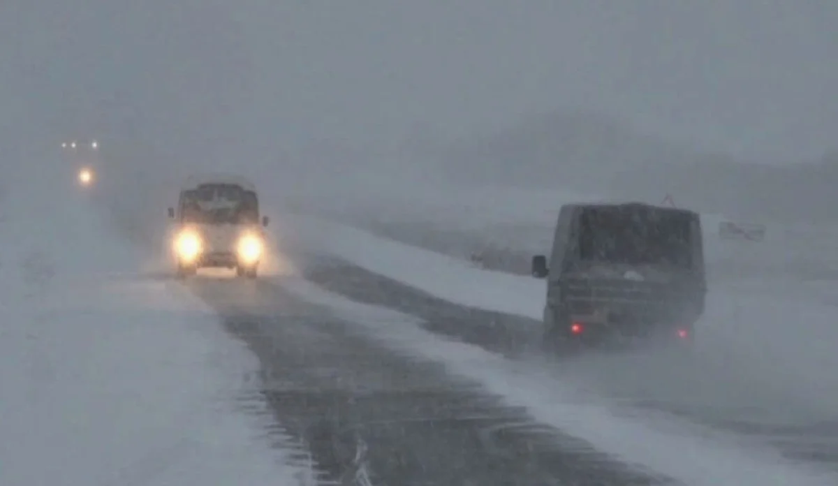 Фото из архива Лады