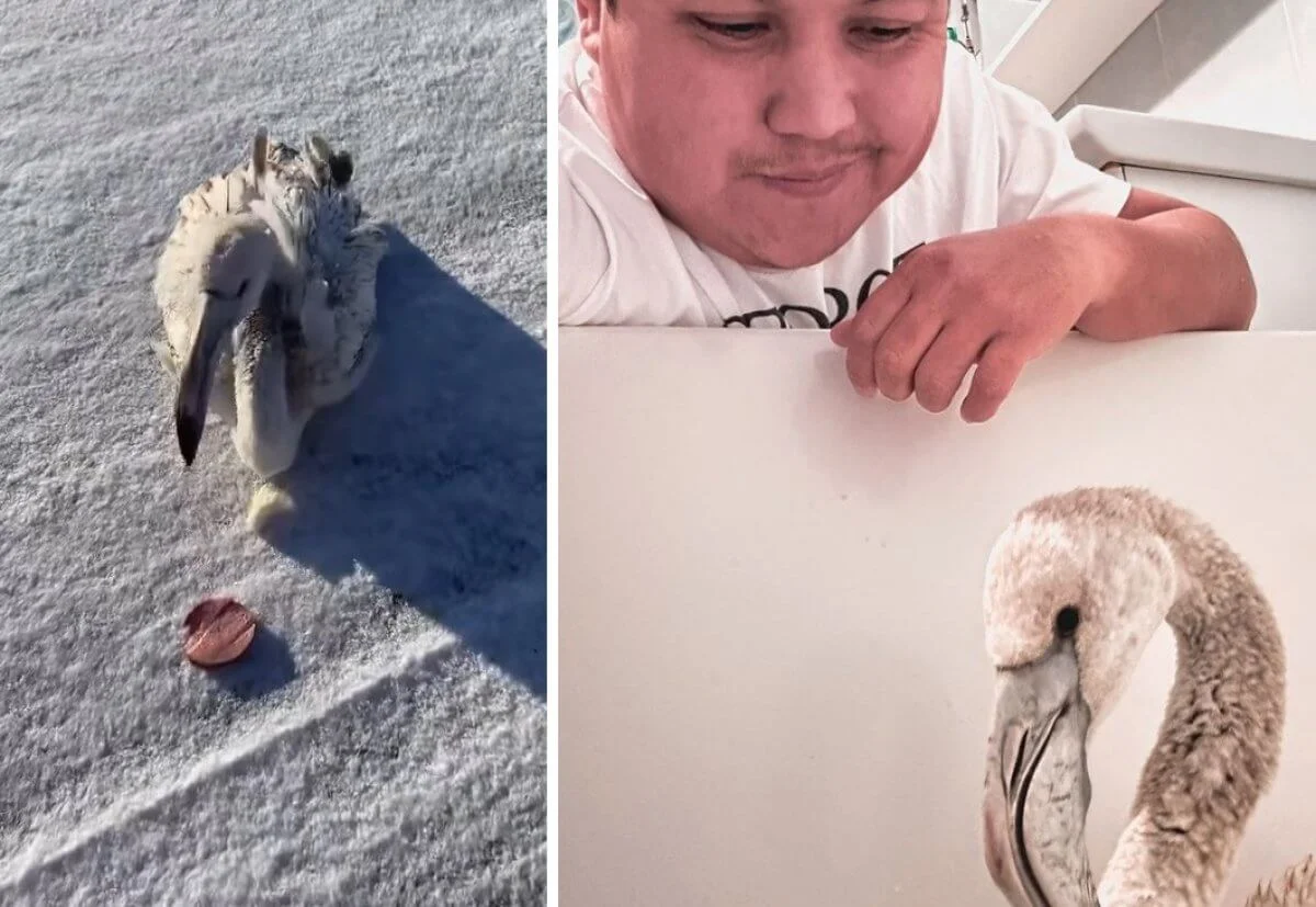 фото с сайта golos-naroda.kz