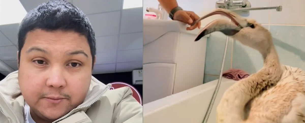 Коллаж автора