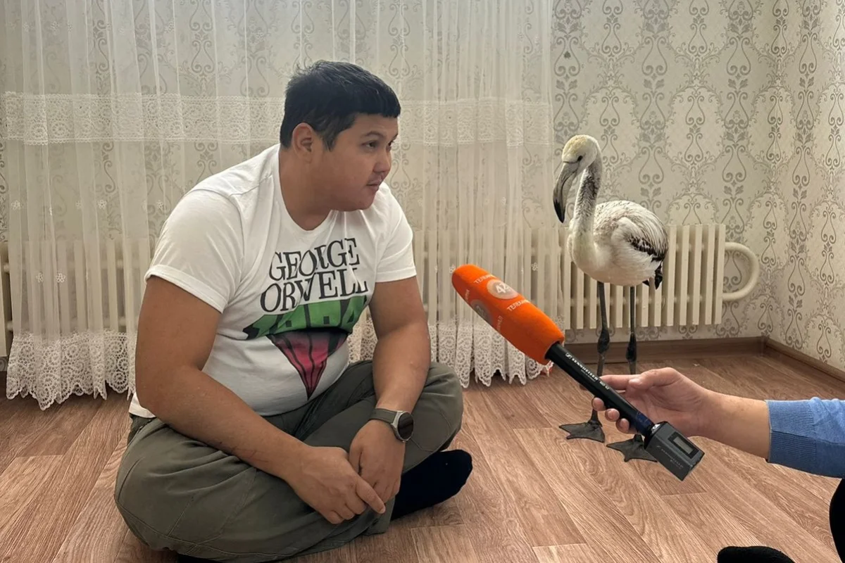 Фото Азамата Сарсенбаева