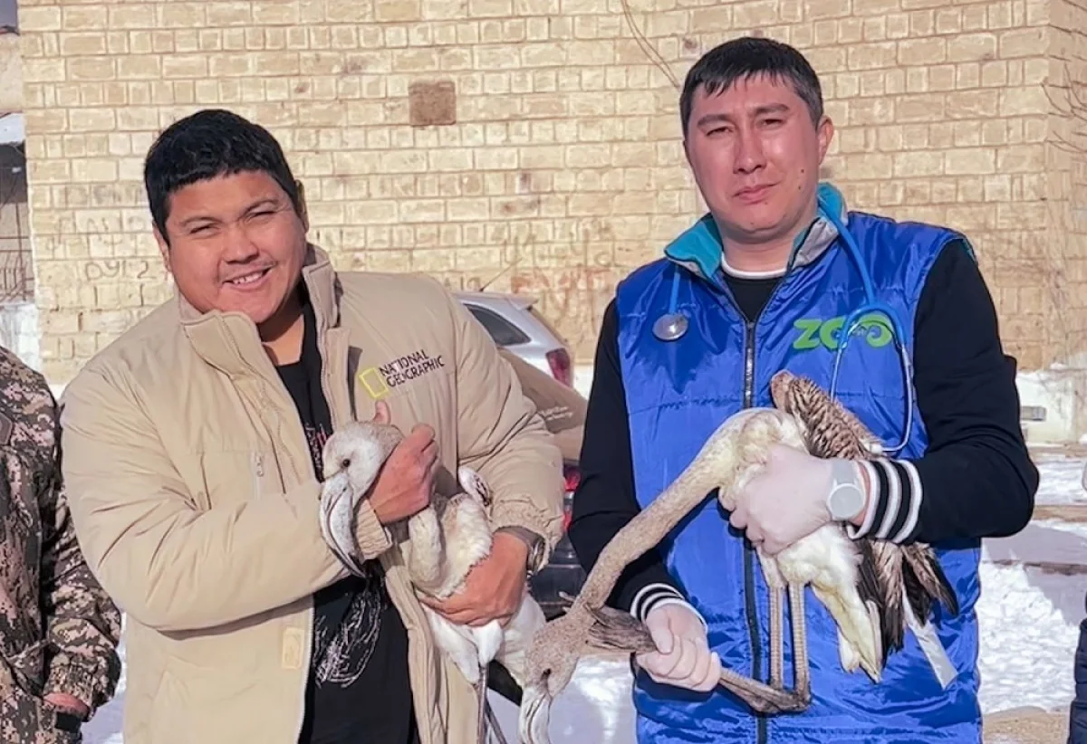 Фото предоставлено Азаматом Сарсенбаевым