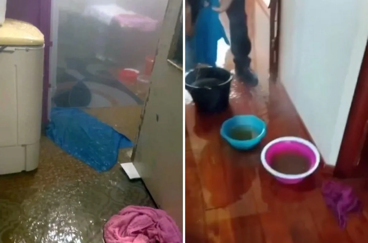 Коллаж из видео