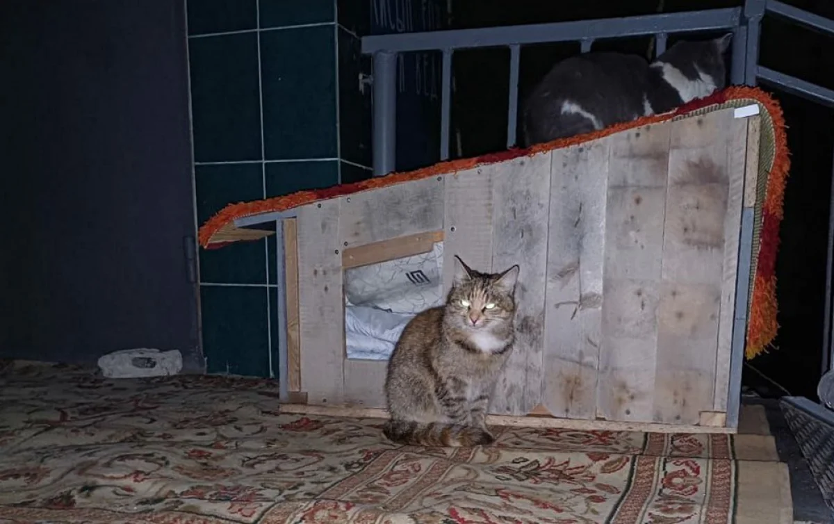 Фото жителей дома №4 в 4 микрорайоне