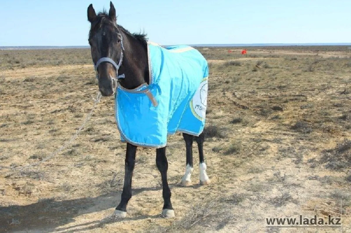 фото из архива Lada.kz