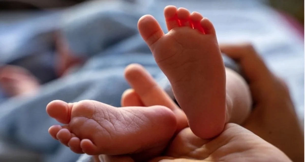 Фото: pixabay.com