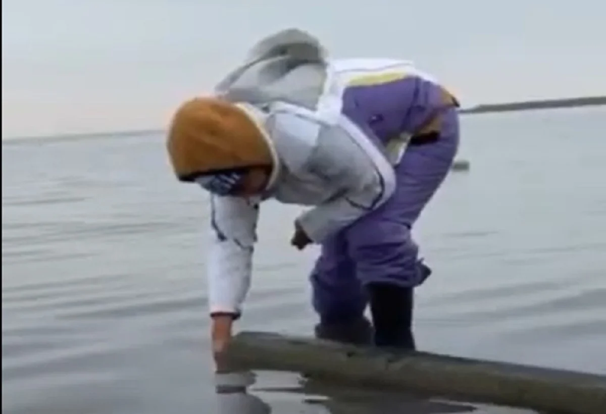 Кадр из видео