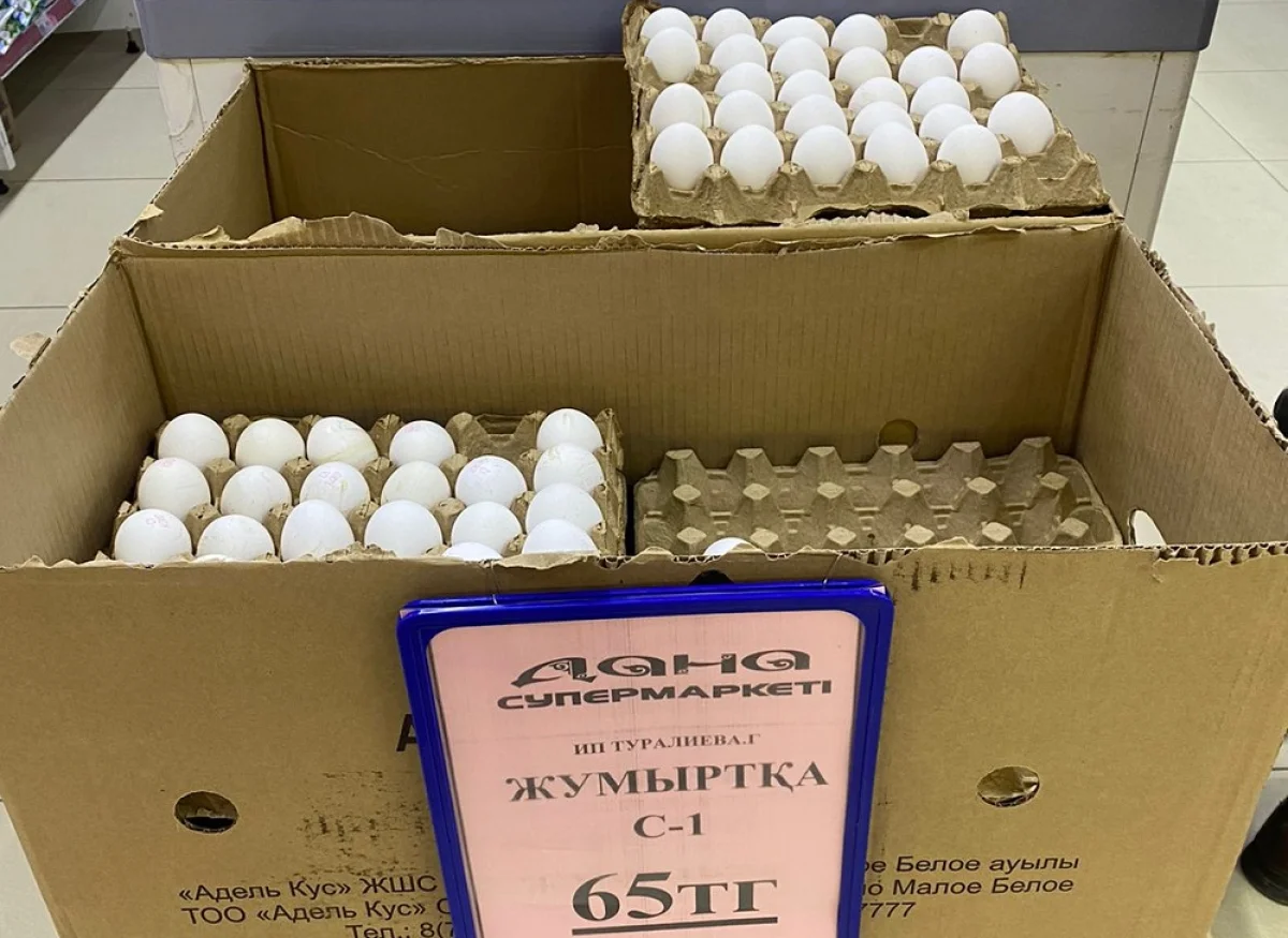 Фото пресс-службы ведомства