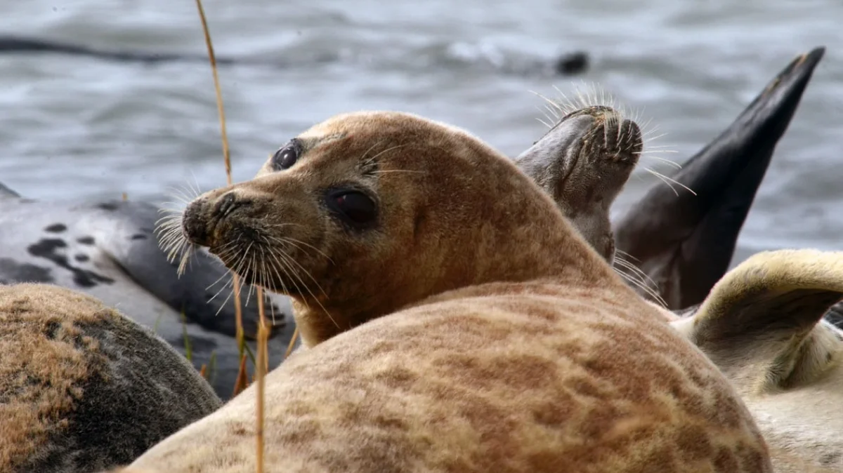 Фото Миргалия Баймуканова