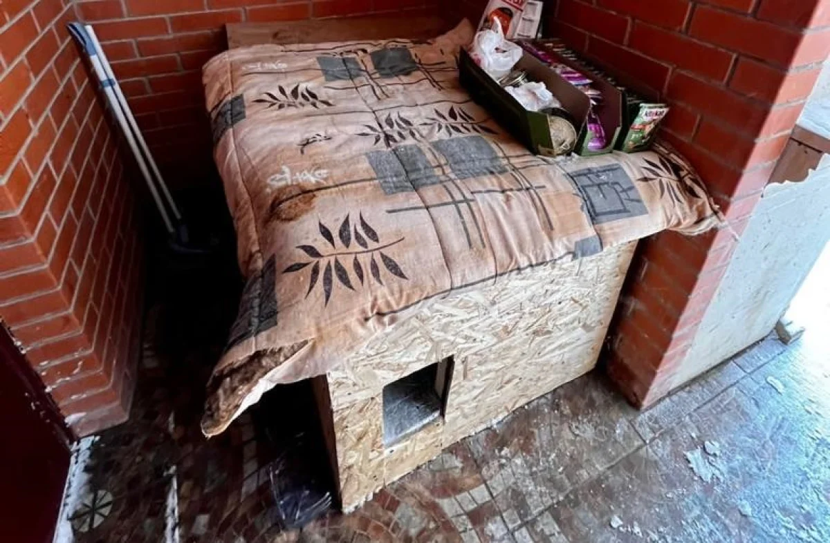 Фото жителя ЖК «Green Plaza»