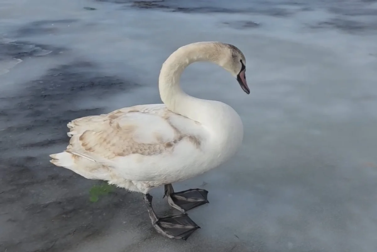 Фото из архива