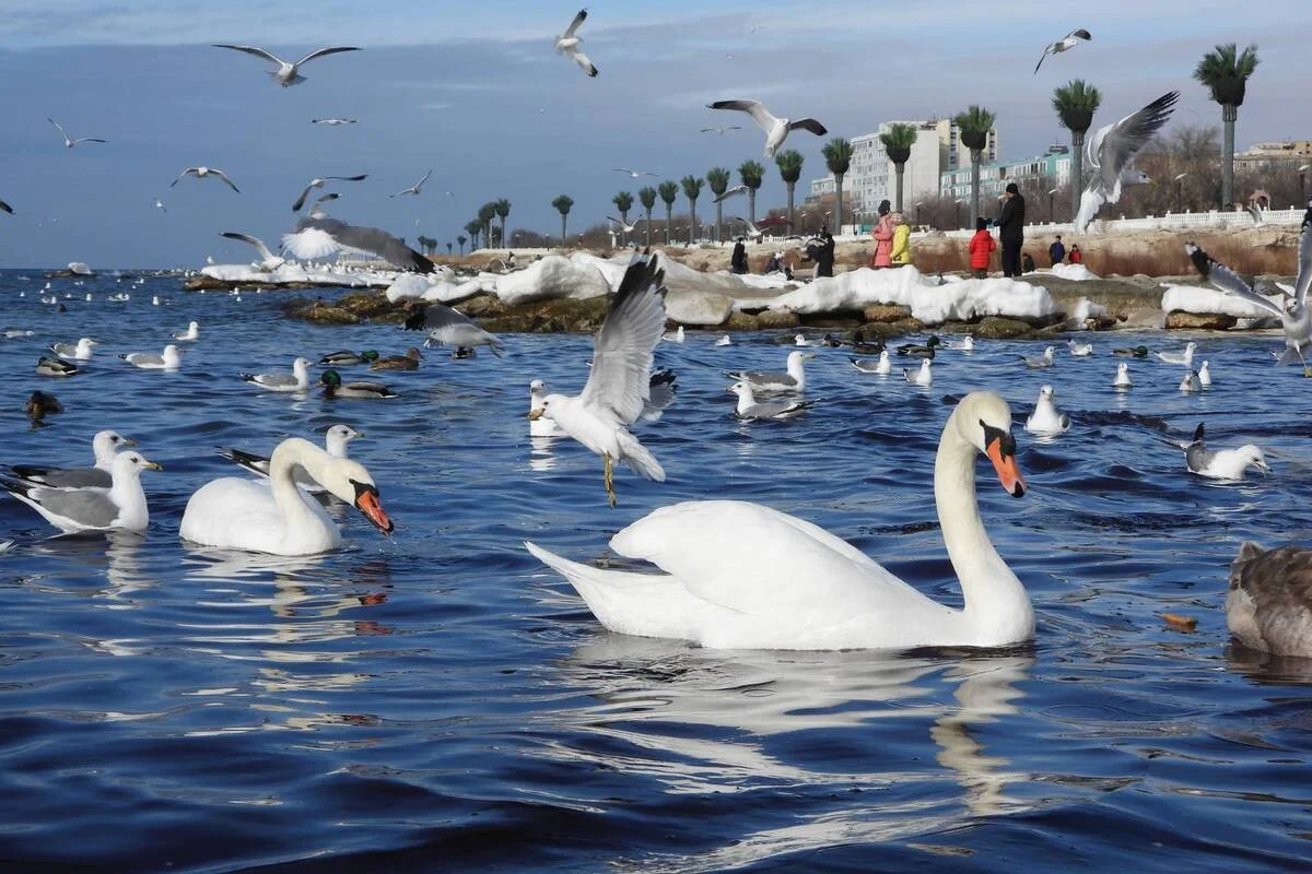 Фото из архива Лады