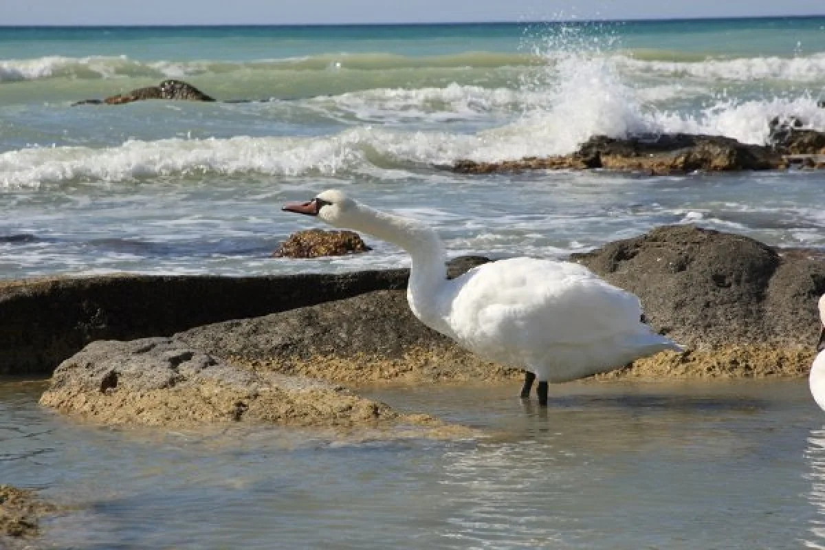 Фото из архива Лады