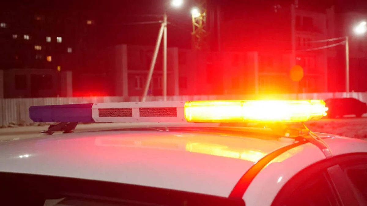 Фото с сайта optimism.kz