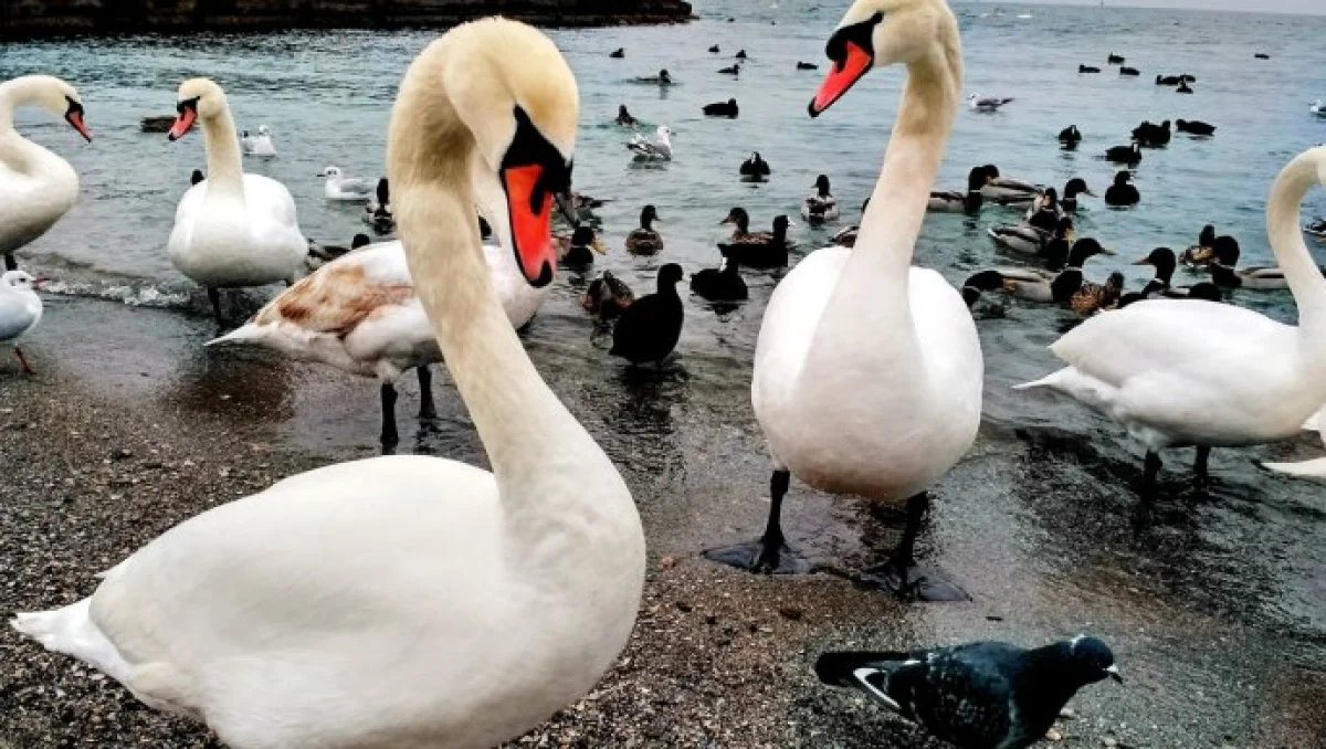 Фото из архива