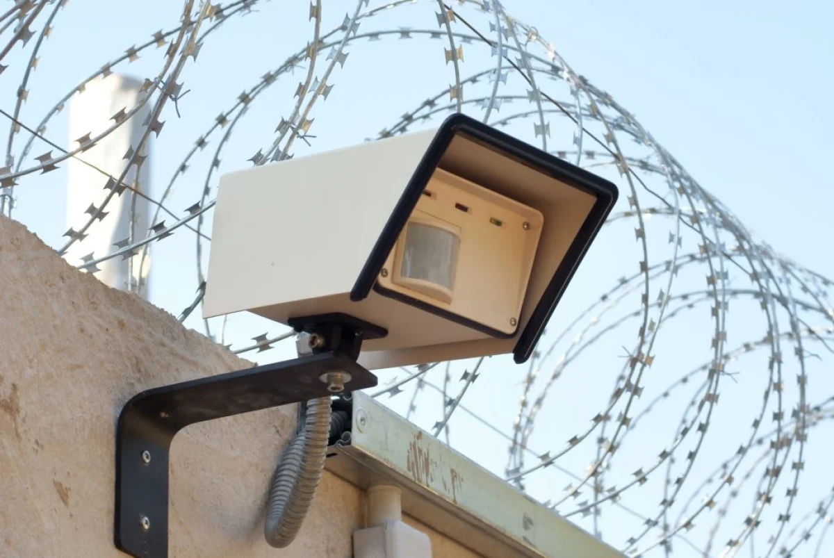 фото с сайта ipshnik.com