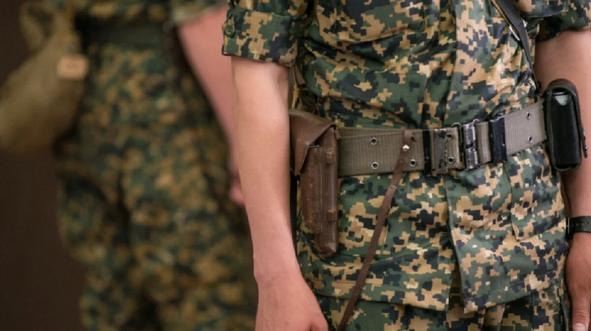 Фото с сайта avatars.dzeninfra.ru