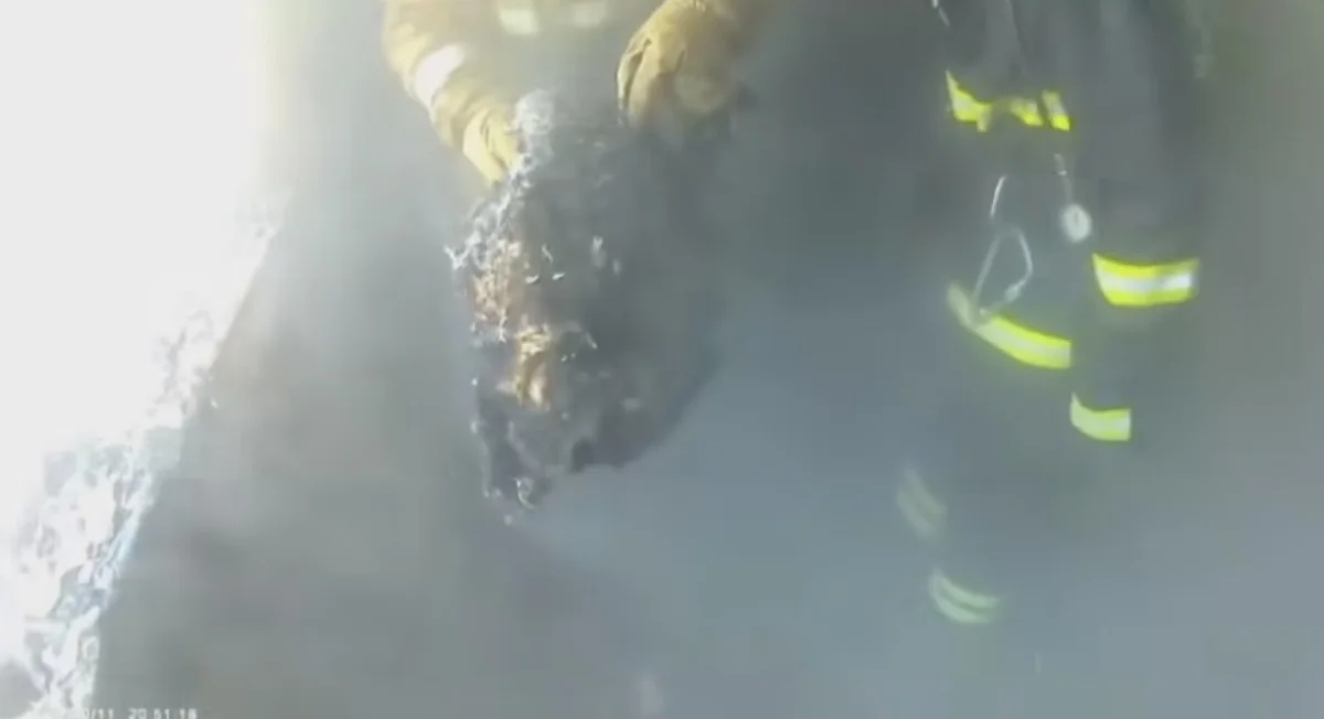 Фото предоставили в ДЧС региона