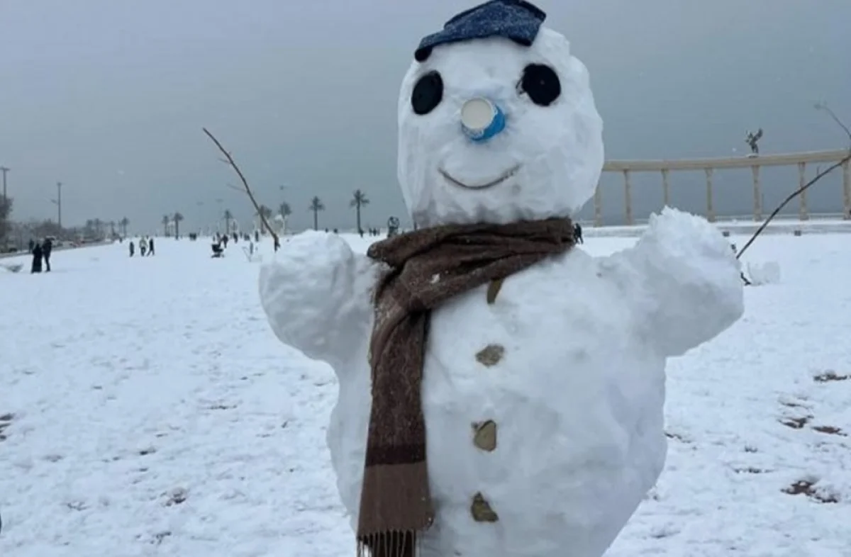 Фото из интернета