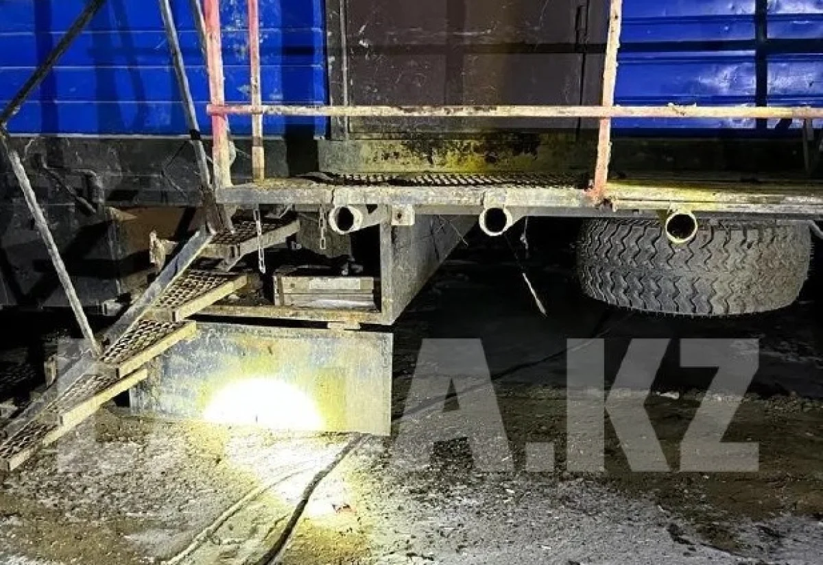 Фото из социальных сетей