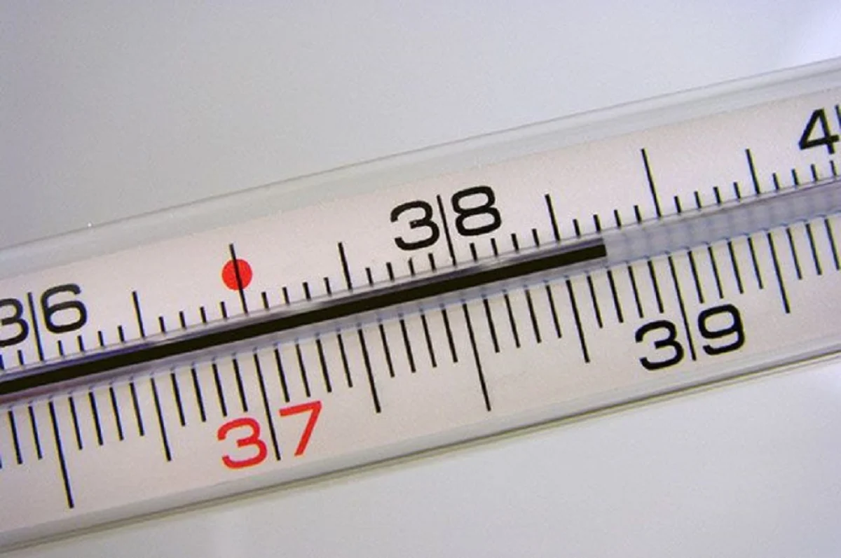 _фото из открытых источников