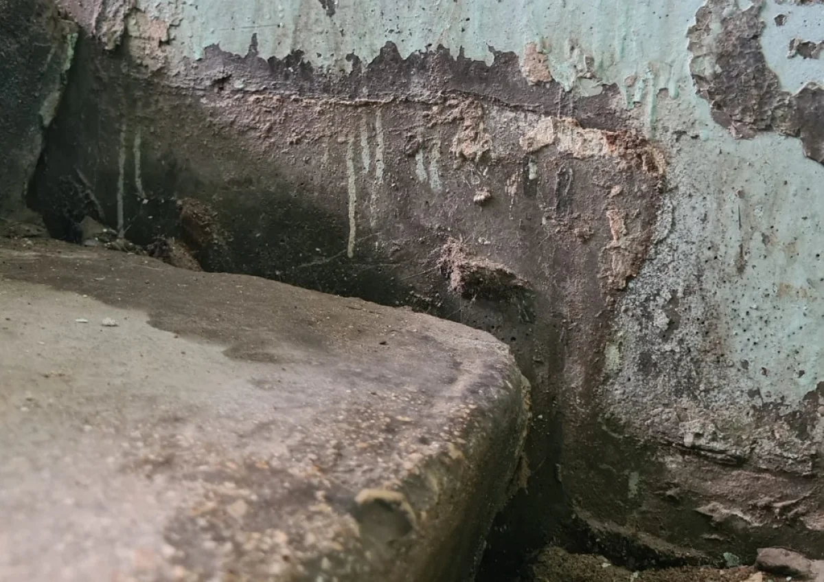 Фото жителей Актау