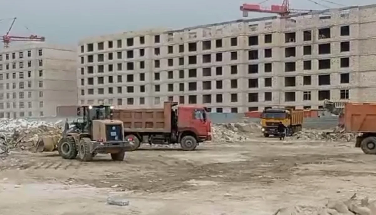 Фото предоставлено управлением природных ресурсов и регулирования природопользования Мангистауской области.