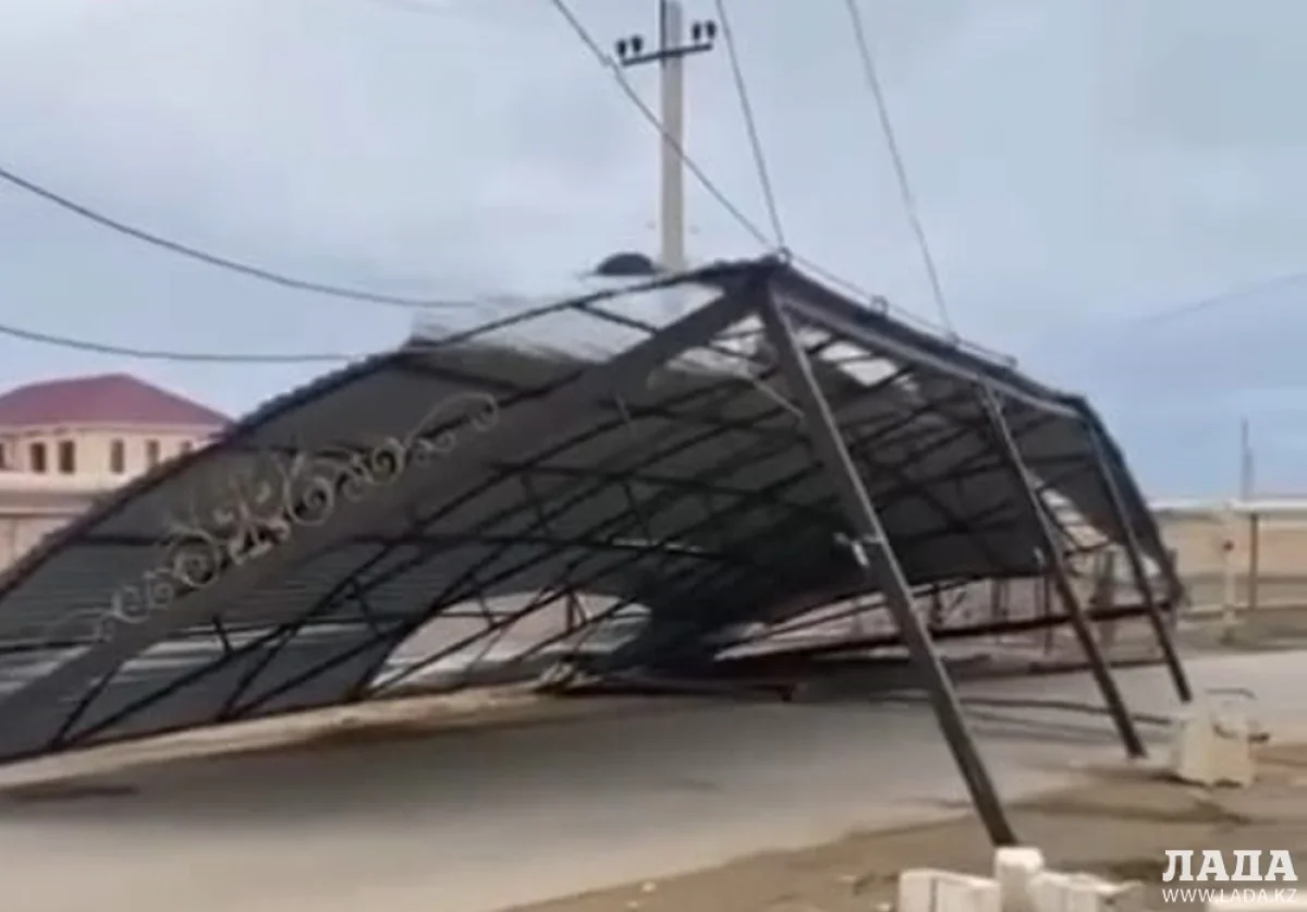 стоп кадр из видео