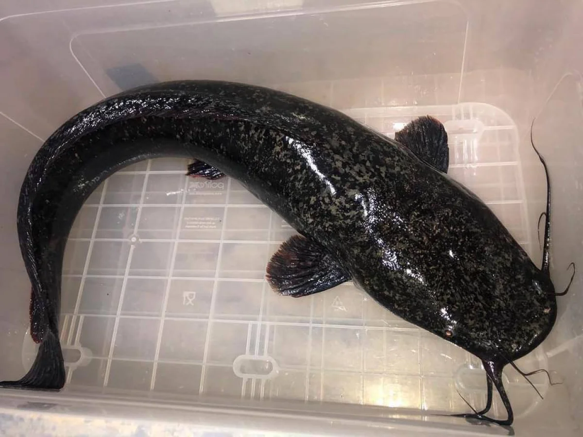 Фото предоставли в ЦОК Мангистауской области