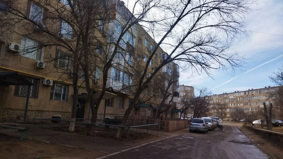 Дерево перед домом №37. Фото жителей 11 микрорайона