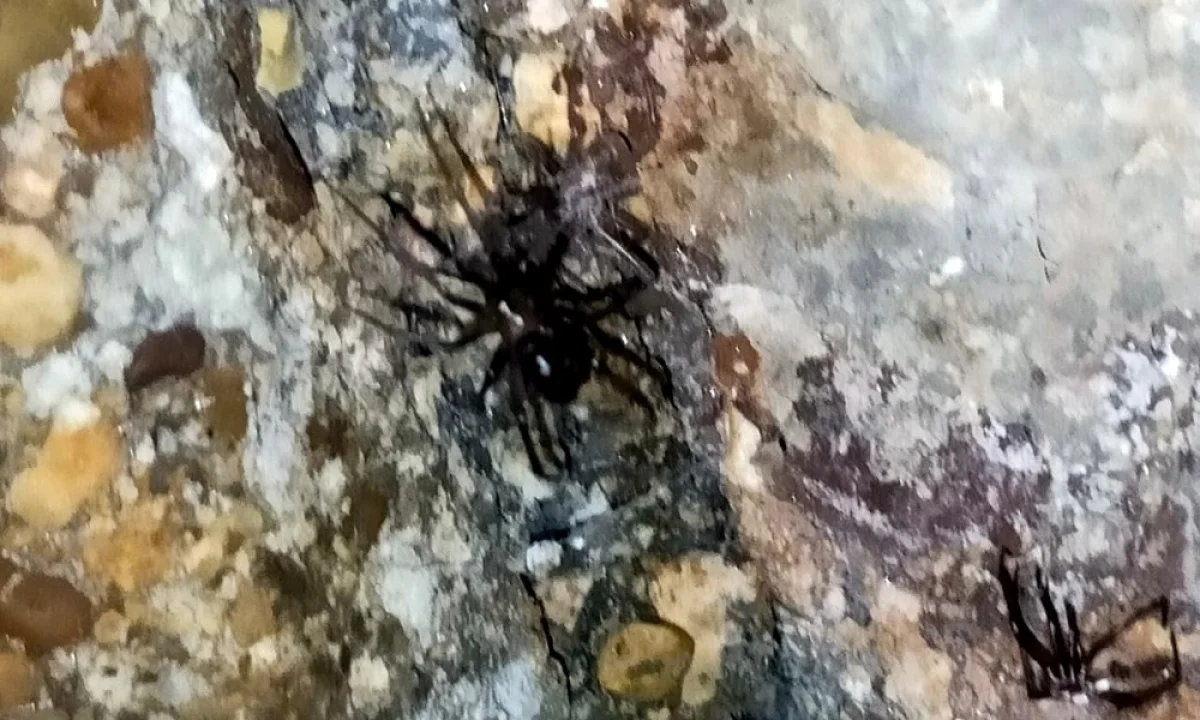 Фото жителя Актау