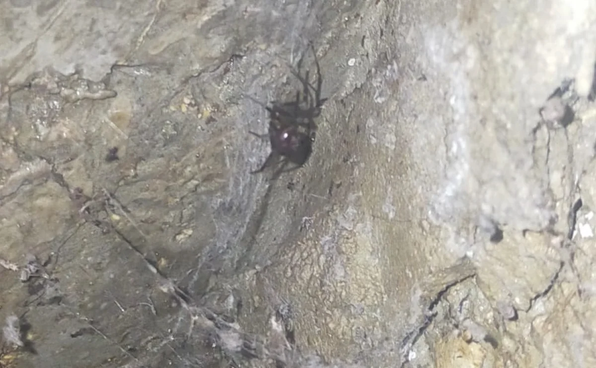 Фото жителя Актау