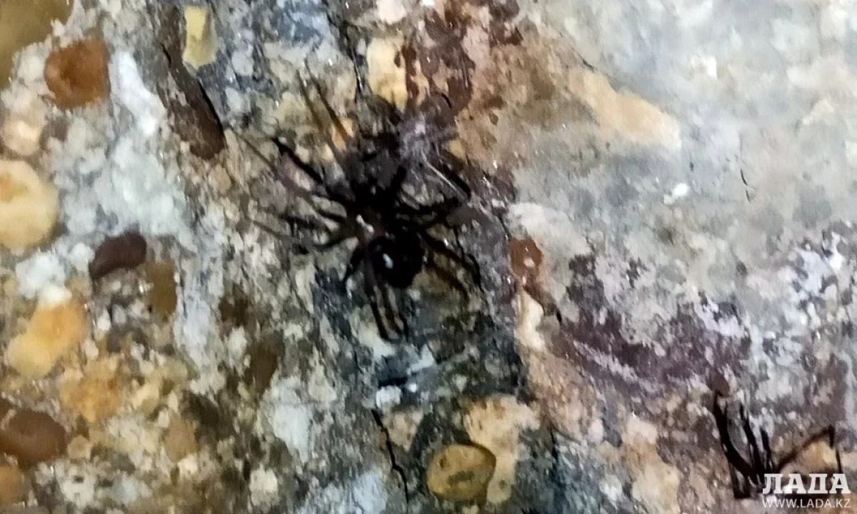 Фото жителя 13 микрорайона