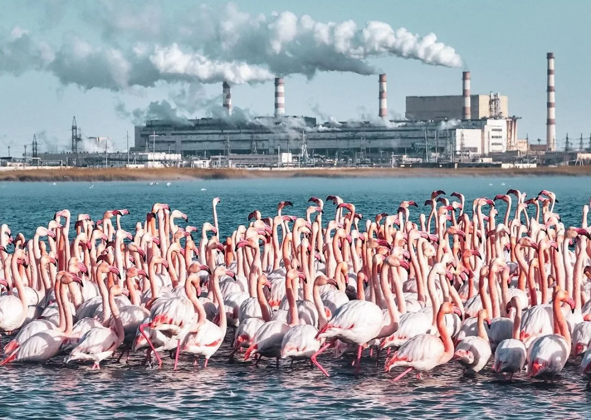 Фото Азамата Сарсенбаева
